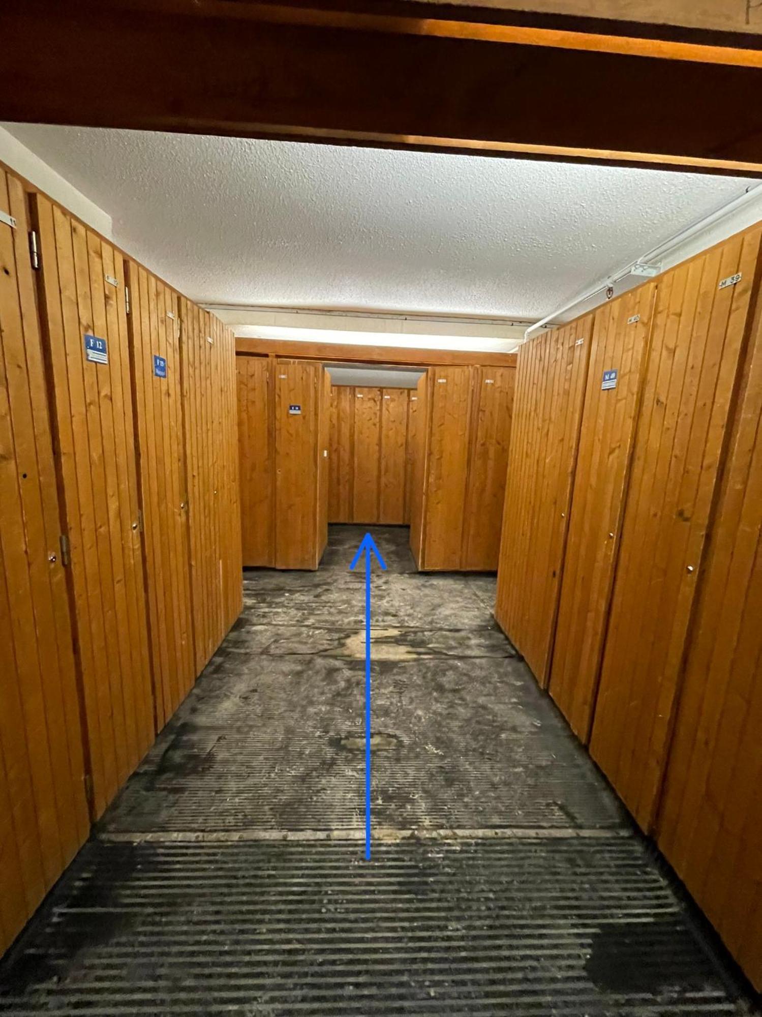 Paquebot Des Neiges - Appartement 4 Personnes - Vue Mont Blanc ラ・プラーニュ エクステリア 写真