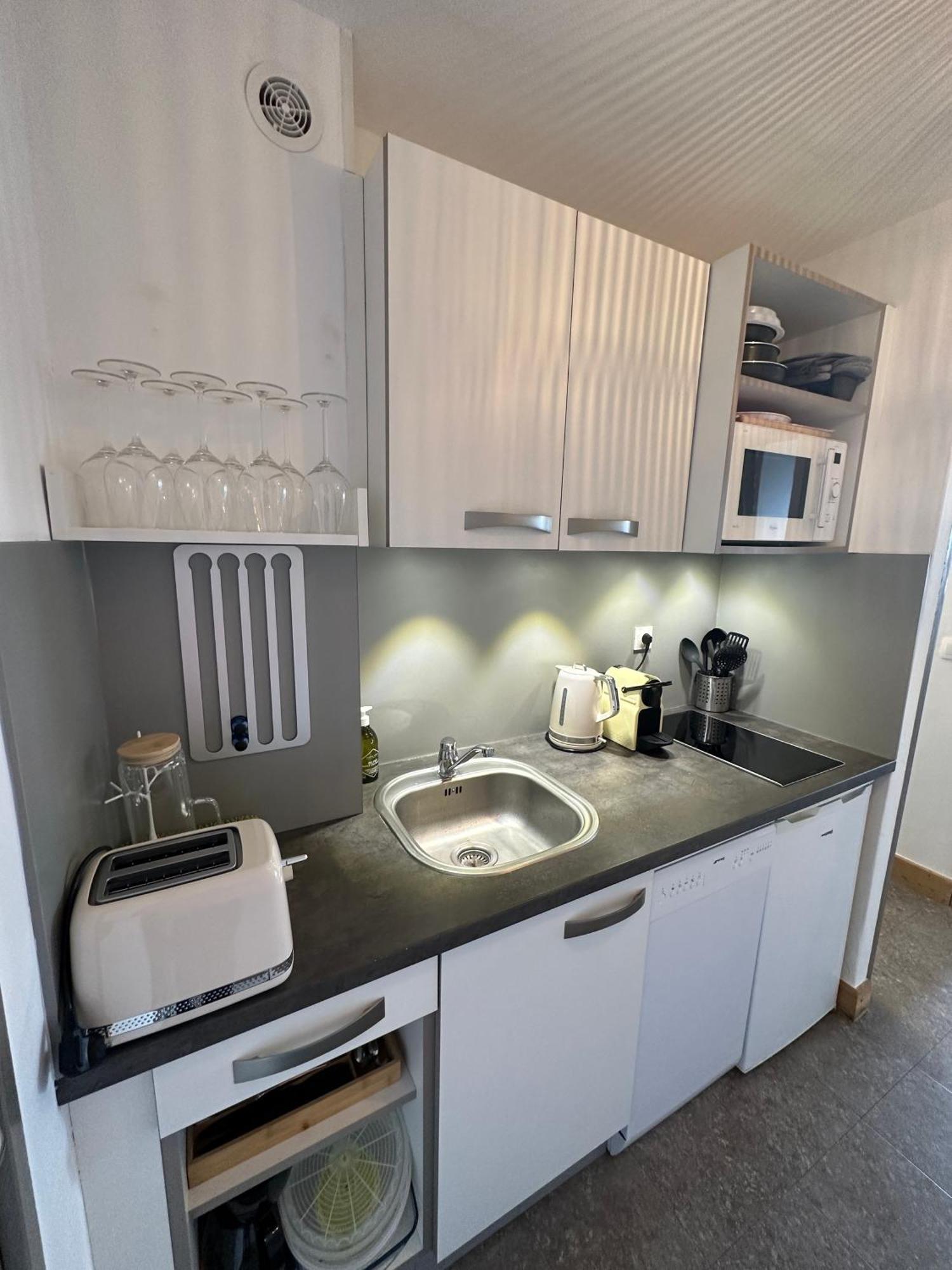 Paquebot Des Neiges - Appartement 4 Personnes - Vue Mont Blanc ラ・プラーニュ エクステリア 写真